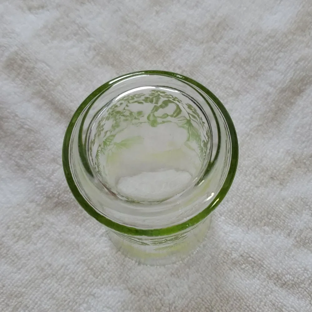 Libbey Green Vintage Floral Glass Cup